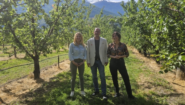 Valais: le canton dévoile son premier bilan carbone de la production arboricole sur son territoire